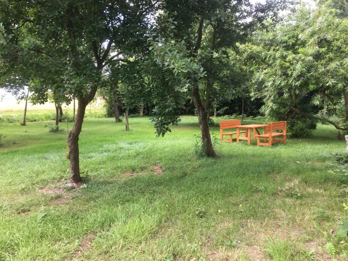 Marijanas Ferienhof 2, Urlaub Mit Viel Platz Zwischen Dornumersiel Und Bensersiel, Gehoert Zum Cafe Kunterbunt Holtgast Exterior foto